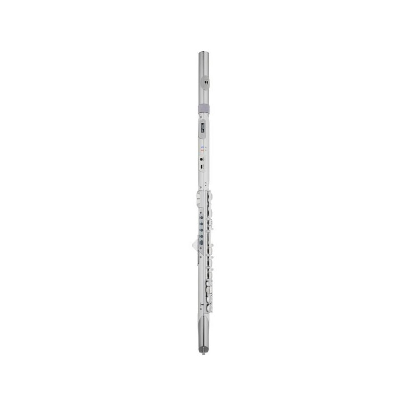 ROLAND AE-BRISA aerophone digital wind instrument