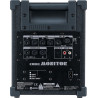 ROLAND CM-30 30w 6.5" + tweeter studio & stage monitor