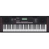 ROLAND E-X10 portable keyboard avec auto-accompaniment features and microphone input