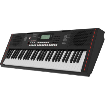 ROLAND E-X10 portable keyboard avec auto-accompaniment features and microphone input