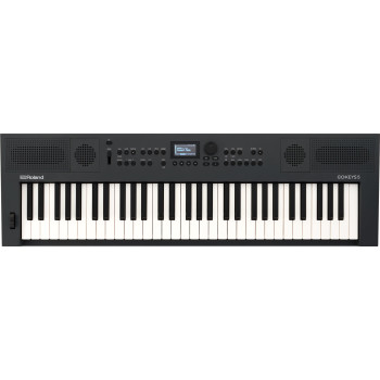 ROLAND GO:KEYS-5-GT go:keys 5 graphite