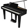 ROLAND GP-3-PE