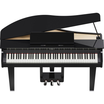 ROLAND GP-3-PE