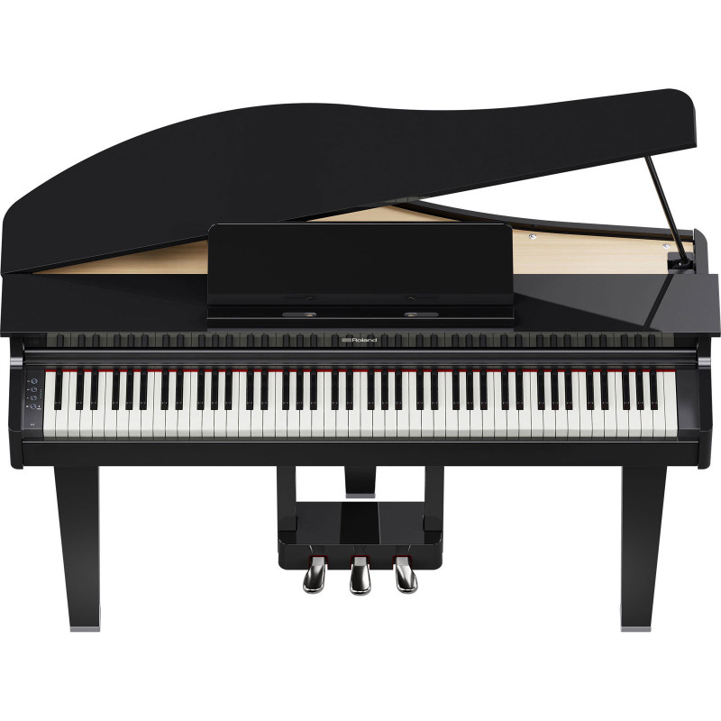 ROLAND GP-3-PE