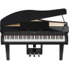 ROLAND GP-3-PE