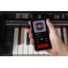 ROLAND GP-3-PE