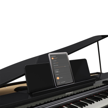 ROLAND GP-3-PE