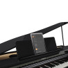 ROLAND GP-3-PE