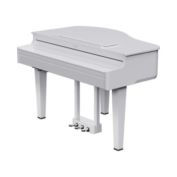 ROLAND GP-6-PW