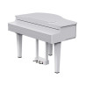 ROLAND GP-6-PW
