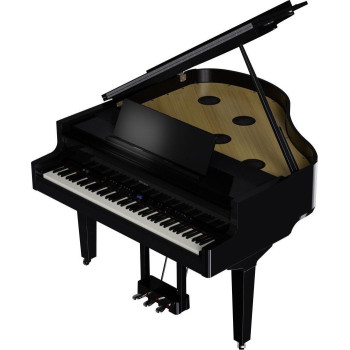 ROLAND GP-9-PE