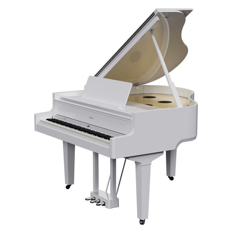ROLAND GP-9-PW