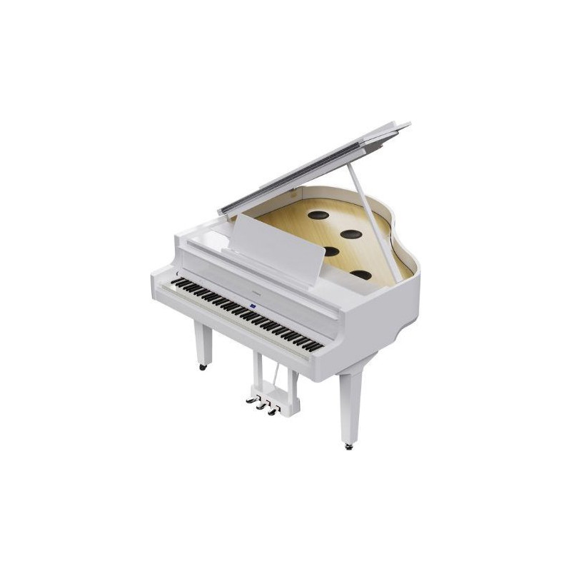 ROLAND GP-9-PW