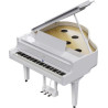 ROLAND GP-9-PW