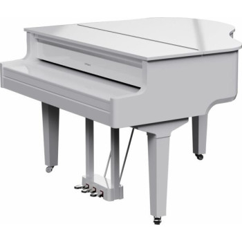 ROLAND GP-9-PW