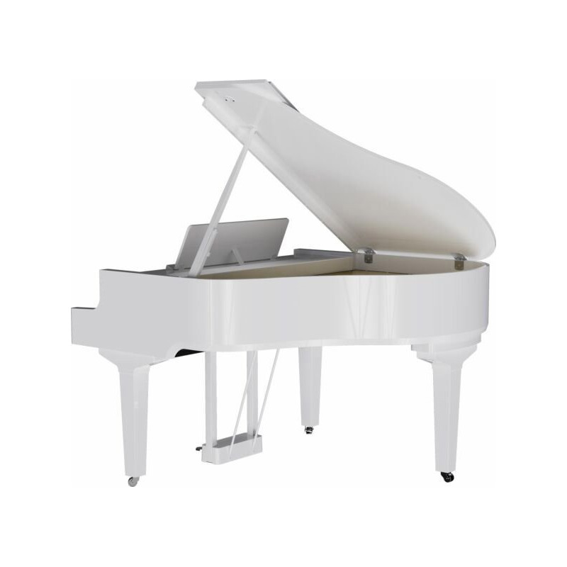 ROLAND GP-9-PW