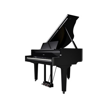 ROLAND GP-9M-PE