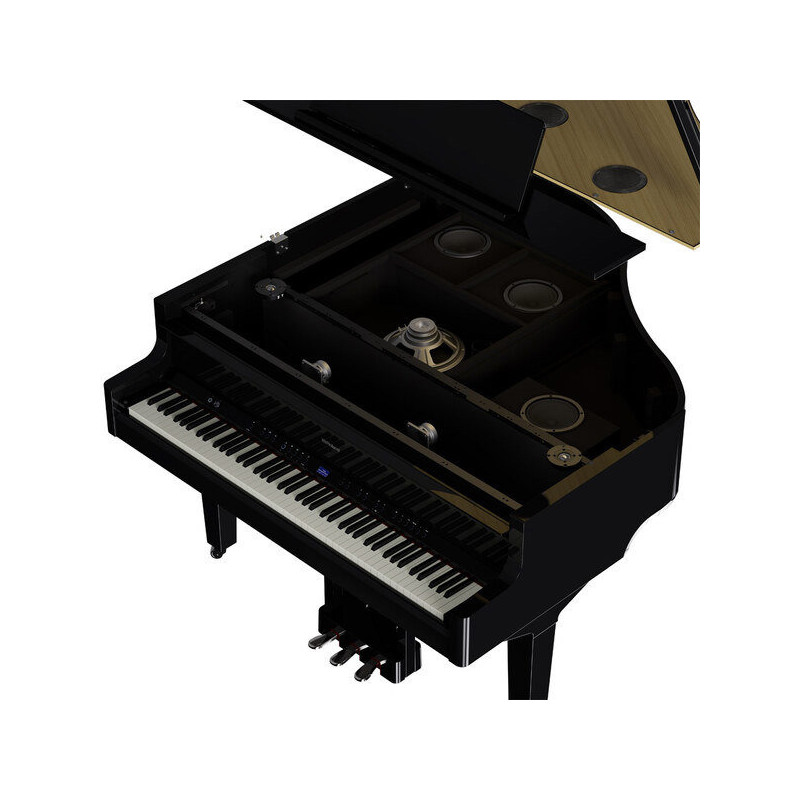 ROLAND GP-9M-PE