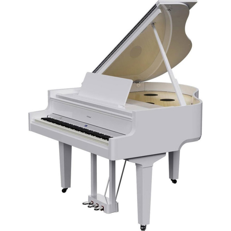 ROLAND GP-9M-PW