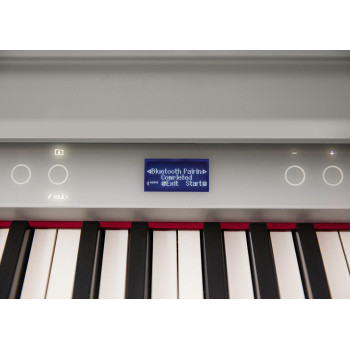 ROLAND GP-9M-PW