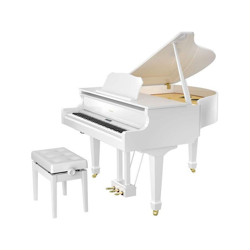 ROLAND GP609-PW sur modele d'expo LIVRAISON 06-83 UNIQUEMENT - Déstockage