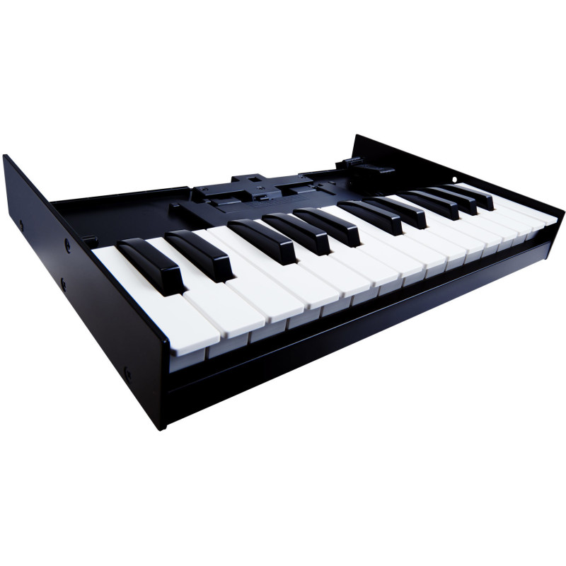 ROLAND K-25M 25 notes