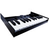 ROLAND K-25M 25 notes