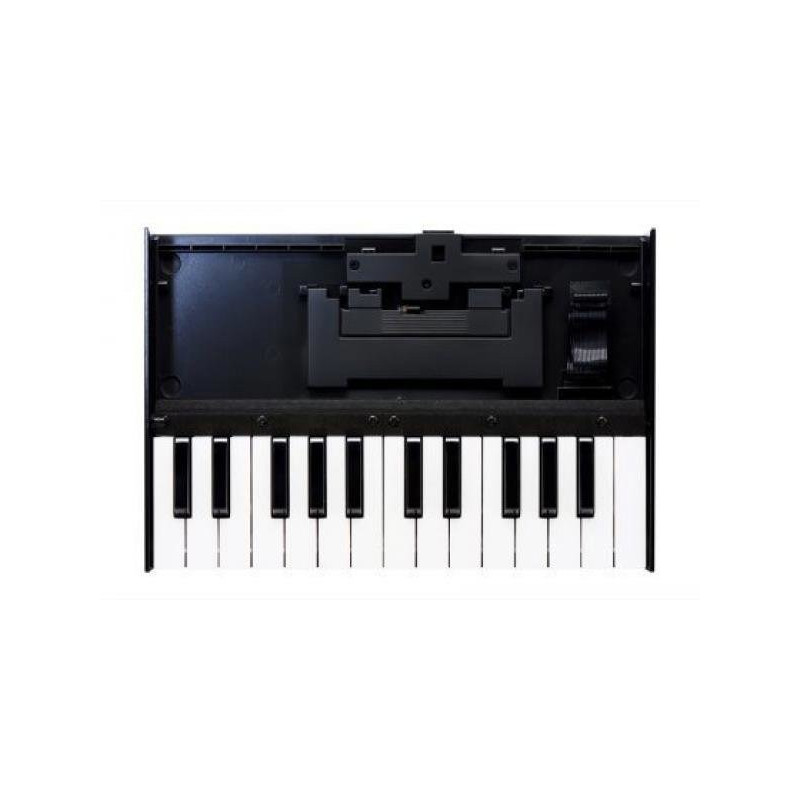 ROLAND K-25M 25 notes