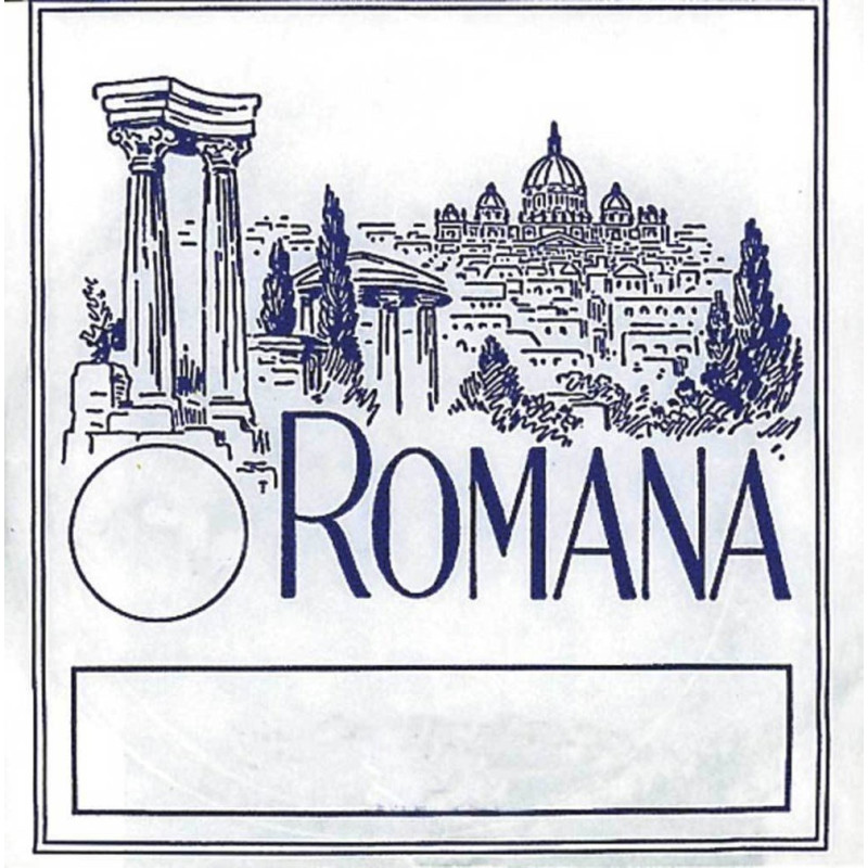 ROMANA Cordes Violon Sol boyau