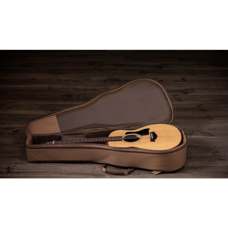 TAYLOR GS Mini Sapele