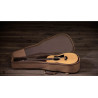 TAYLOR GS Mini Sapele