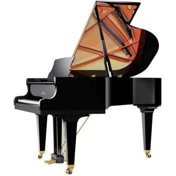 SCHIMMEL Classic C169 TRADITION Noir brillant