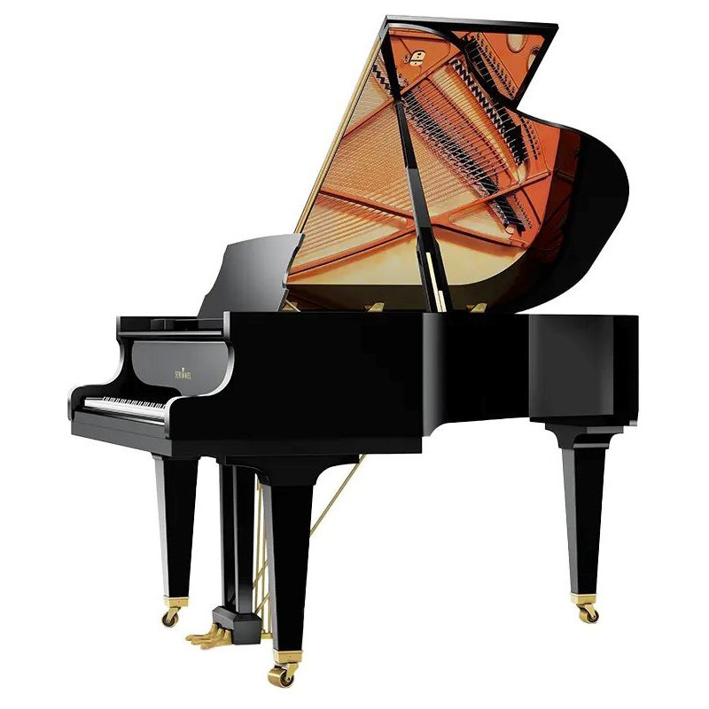 SCHIMMEL Classic C169 TRADITION Noir brillant