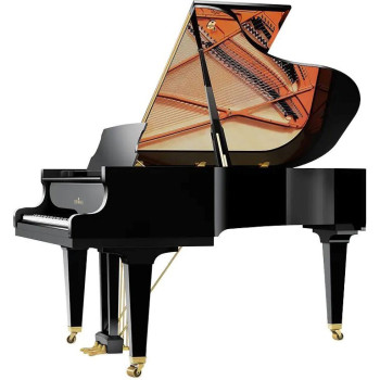 SCHIMMEL Classic C189 TRADITION NOIR LAQUE