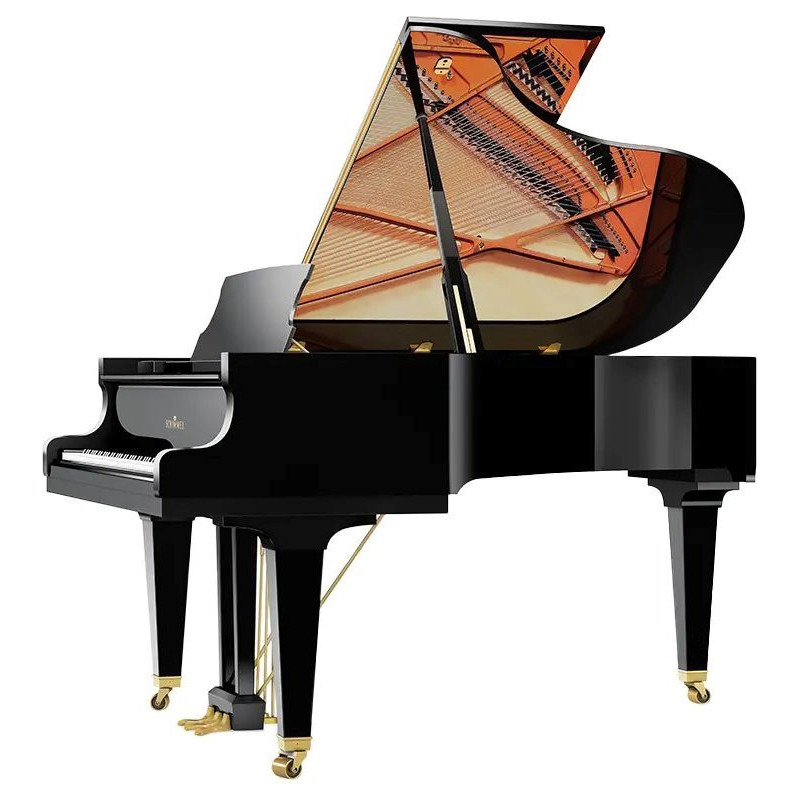 SCHIMMEL Classic C189 TRADITION NOIR LAQUE