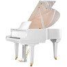 SCHIMMEL International F156 TRADITION BLANC LAQUE