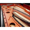 SCHIMMEL Konzert K280 Tradition Noir Brillant