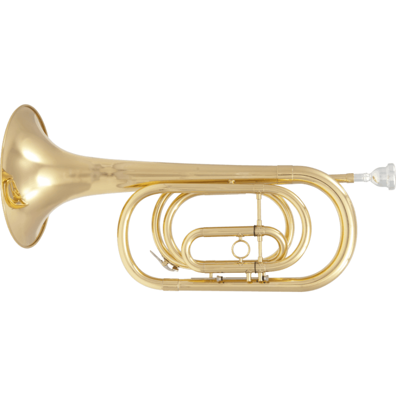 SML PARIS FCLB70 clairon basse sib verni fclb70