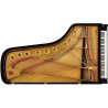 STEINWAY & SONS STEINWAY D-274 Piano a queue