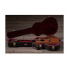 TAYLOR PS14ce Ironbark Sinker Redwood Shaded Edgeburst