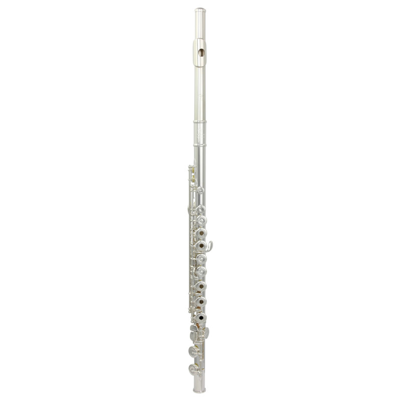 TREVOR JAMES 31CV-RX flute trevor james cantabile 31cv-rx
