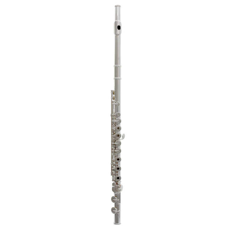 TREVOR JAMES 31PFRSLRX flute trevor james privilege 31pfrslrx