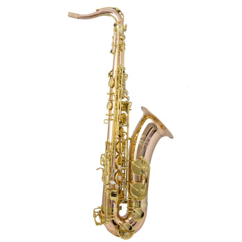 TREVOR JAMES 38SC-T269B saxophone tenor trevor james sc t269b