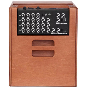 ACUS One ForStrings 10 Ferdi Wood