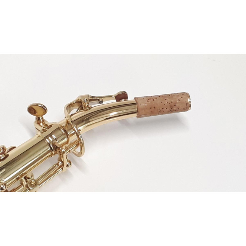 DRAGO saxophone soprano courbe verni
