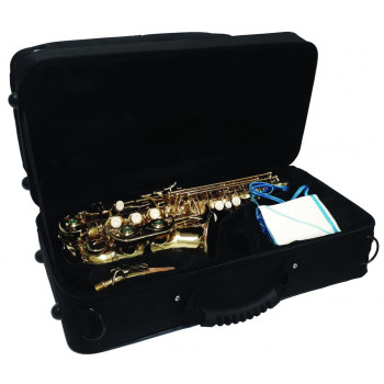 DRAGO saxophone soprano courbe verni