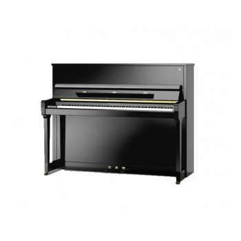 SCHIMMEL International F116 Tradition Noir Brillant - Accastillage Laiton