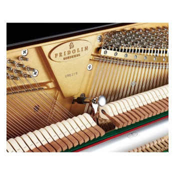 SCHIMMEL International F121 tradition Noir laque