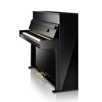 HOFFMANN 114 Vision v2 Noir brillant