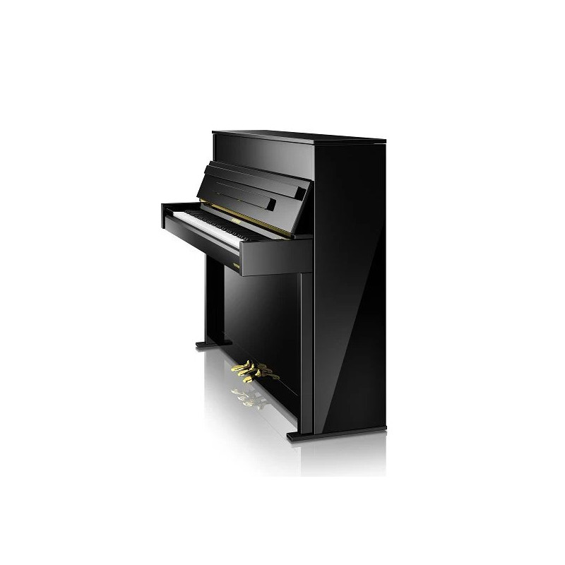 HOFFMANN 114 Vision v2 Noir brillant